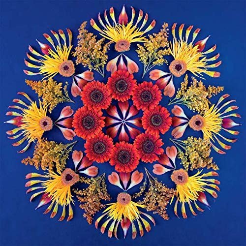 Danmala Red Puzzle - 300Piece